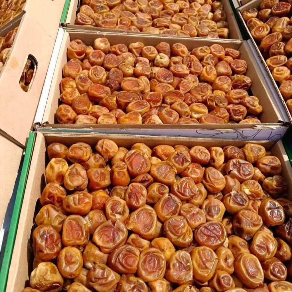 مدينه التمور