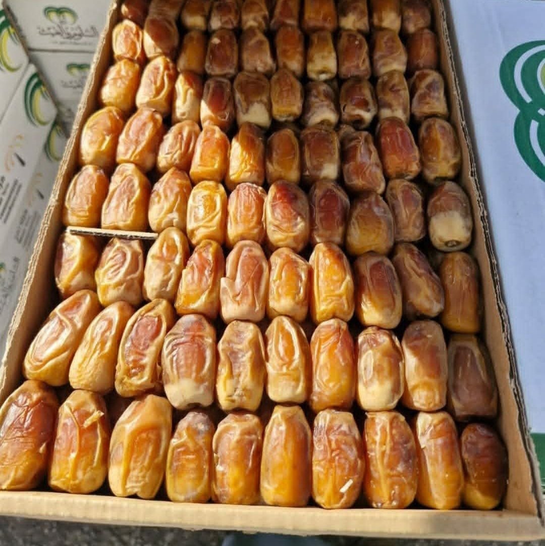 مدينة التمور
