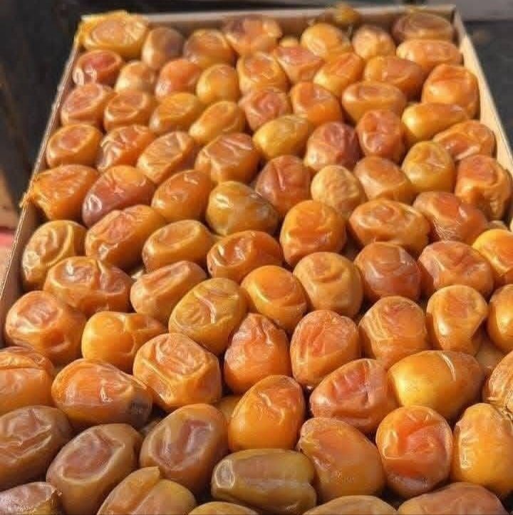 img ٢٠٢٦٠٨٢٨ ١٩٤٤٠٨