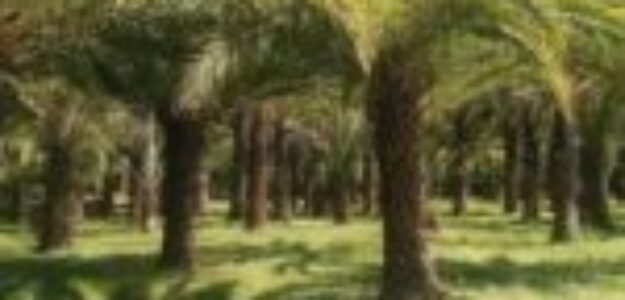 cropped cropped 2159543.jpg